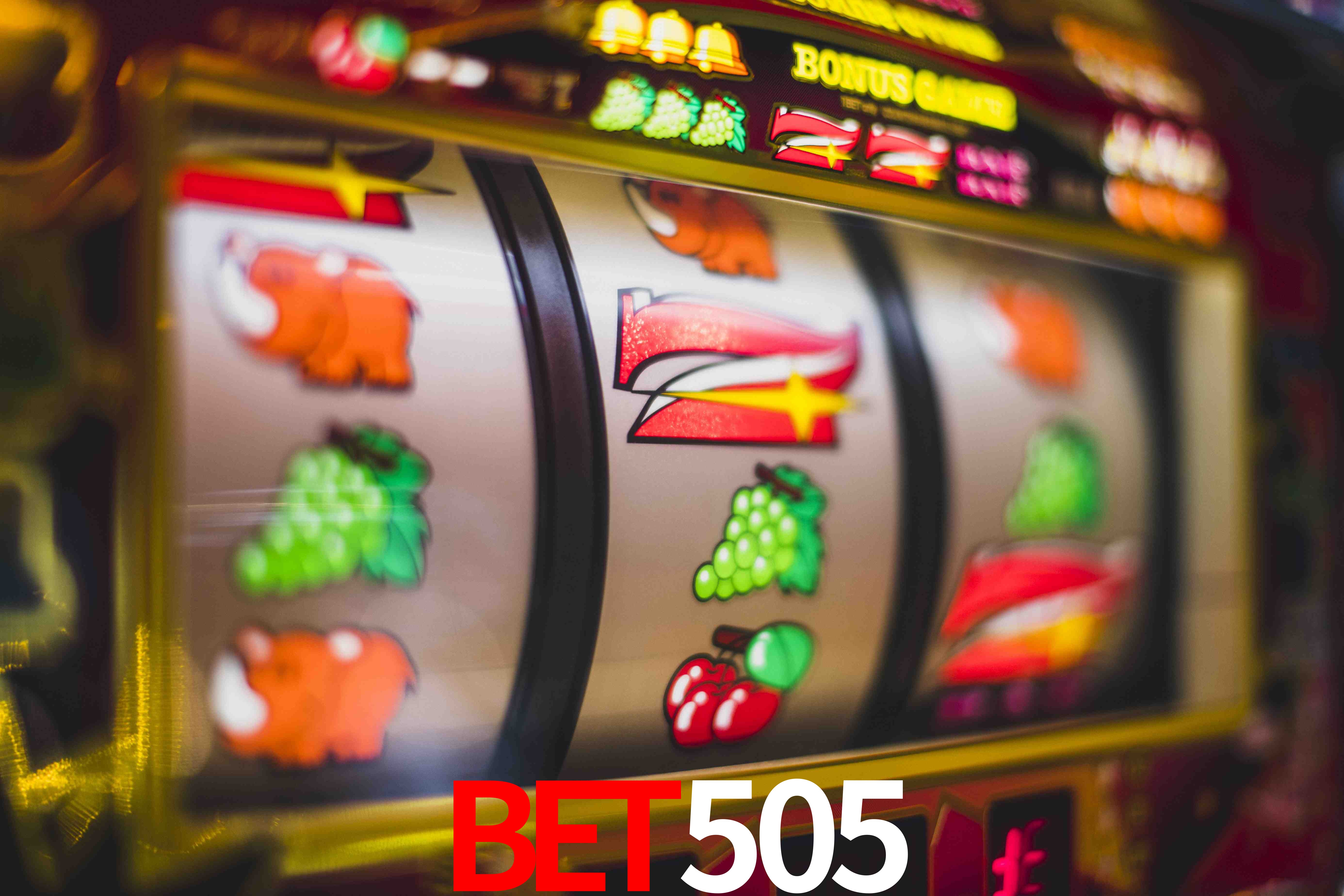 Experiência VIP bet505